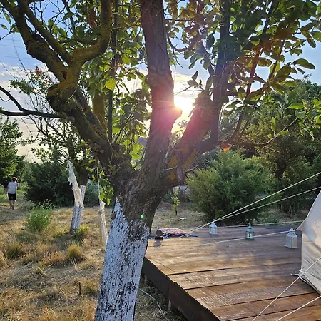 Ofidaki Glamping Campismo de Luxo *